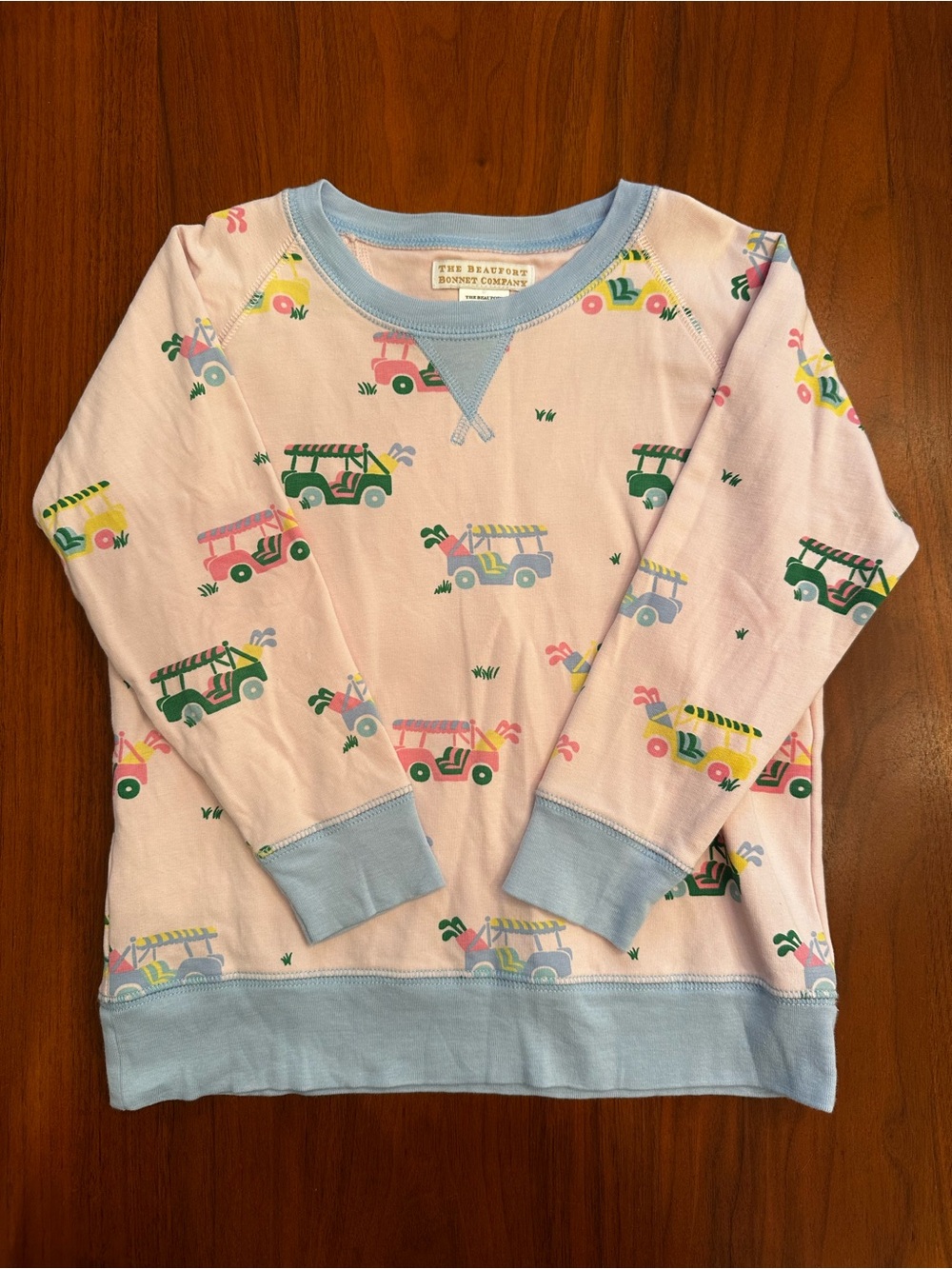 The Beaufort Bonnet Company Pink CASSIDY COMFY CREWNECK in Greenville golf buggy
